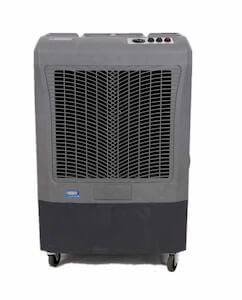 company cooler price